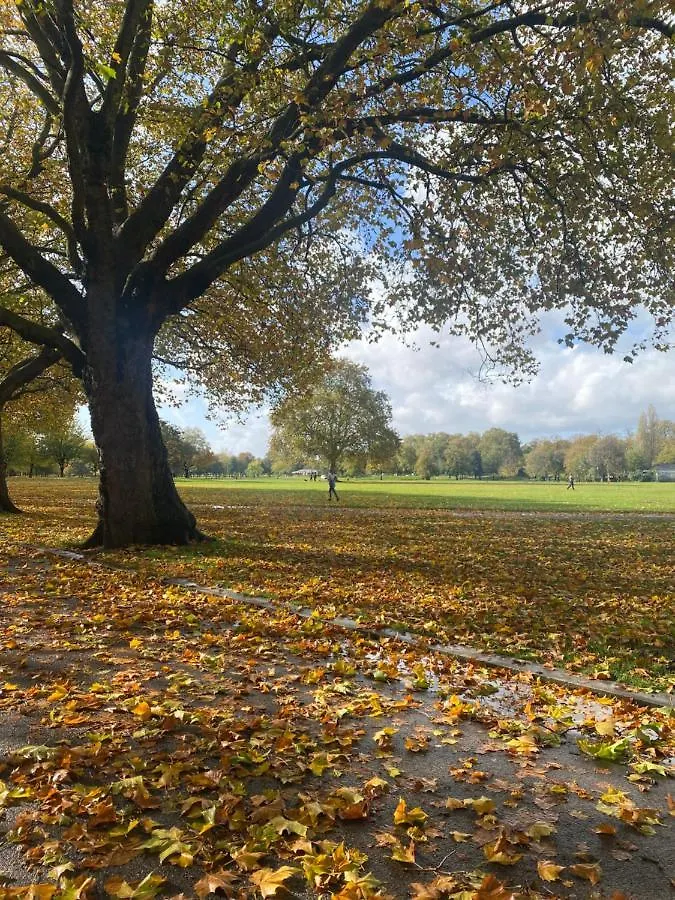 Spacious Modern 1-Bed Apartment Near Victoria Park London 0*,